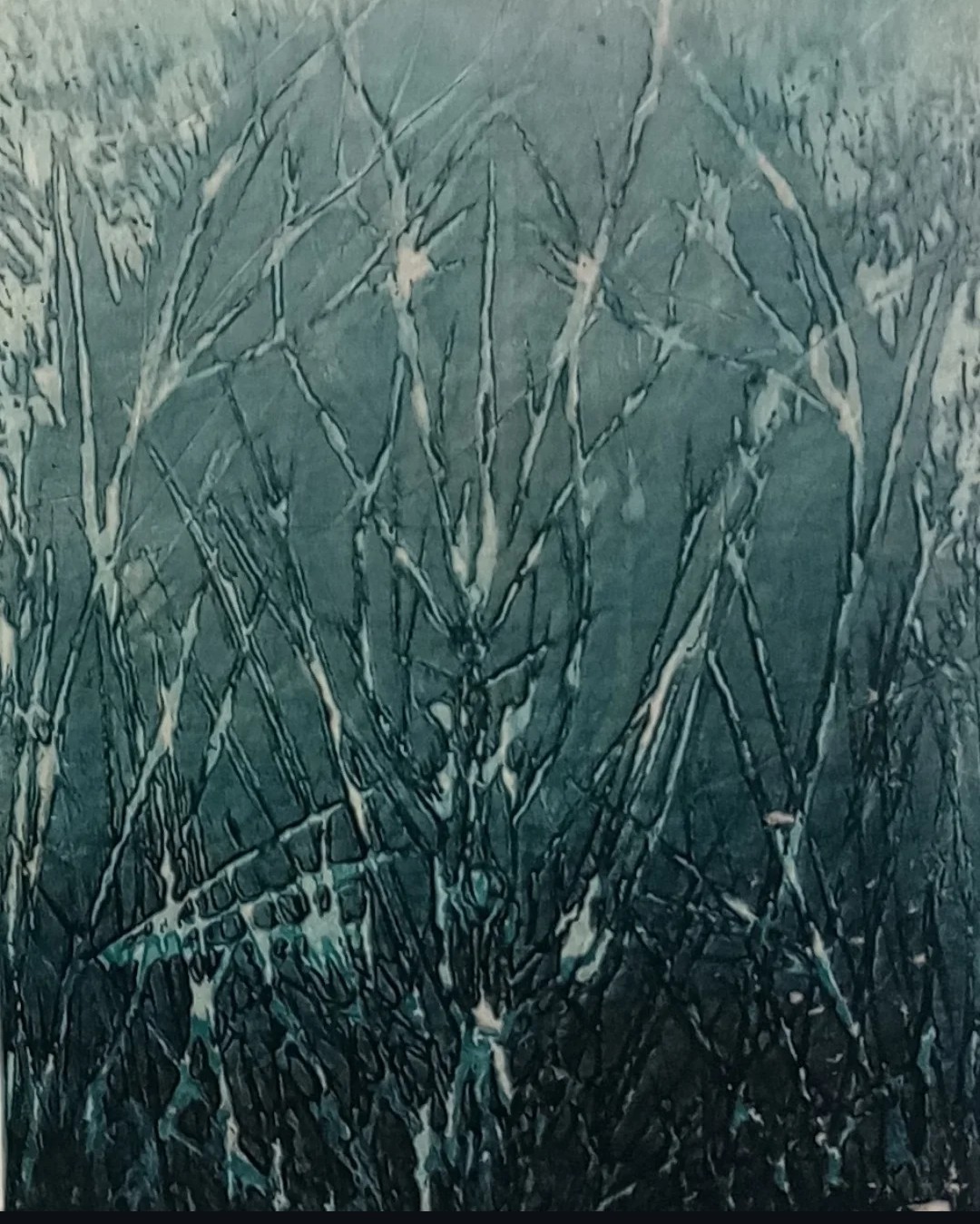 Splinter close Up